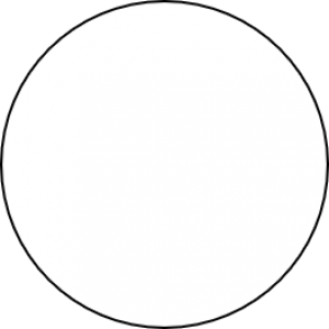 white white